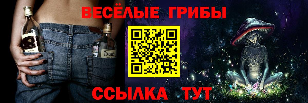 Тавда  Псилоцибиновые грибы Psilocybe  где найти   Вход с VPN 