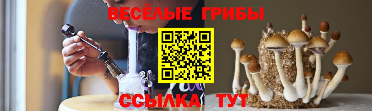 Псилоцибиновые грибы ЛСД Тавда